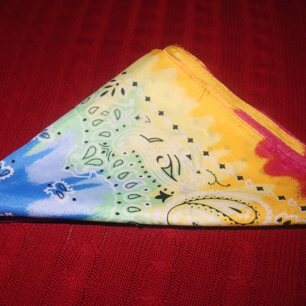 Colorful Retro Paisley Bandana